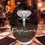 Elephant club