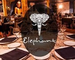 Elephant club