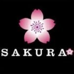 Sakura club