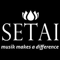 Setai club