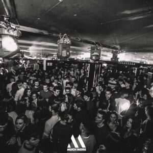 Discoteca Much More, Jungle party con le telecamere di Trendy Night