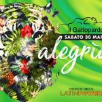 Discoteca Gattopardo Alba Adriatica Alegria con i Latin Power