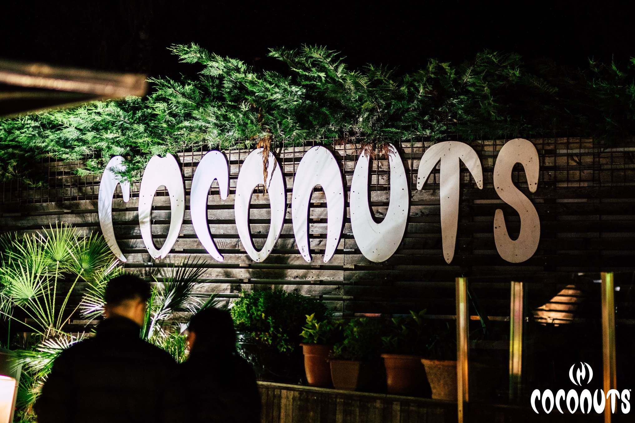 La Notte Rosa 2019 Coconuts Club Rimini