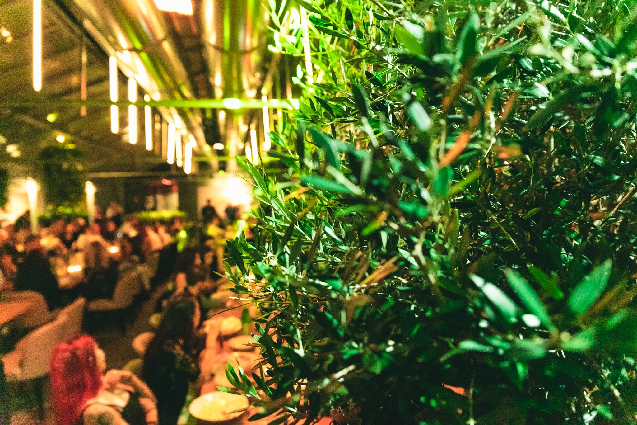 Oltre Lo Spettacolo La Serra Ristorante Civitanova Marche