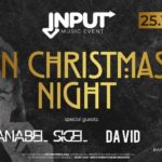 Christmas Night guest Anabel Sigel e Da Vid discoteca Mya