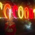 Sala latina e commerciale alla discoteca Coconuts di Rimini