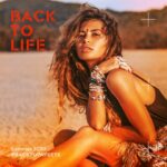 Back To Life Papeete Milano Marittima