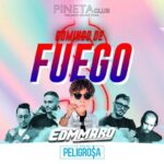 Pineta Milano Marittima Discoteca, Domingo De Fuego