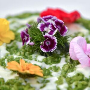 Il cielo in una stanza, ristorante La Serra di Civitanova Marche