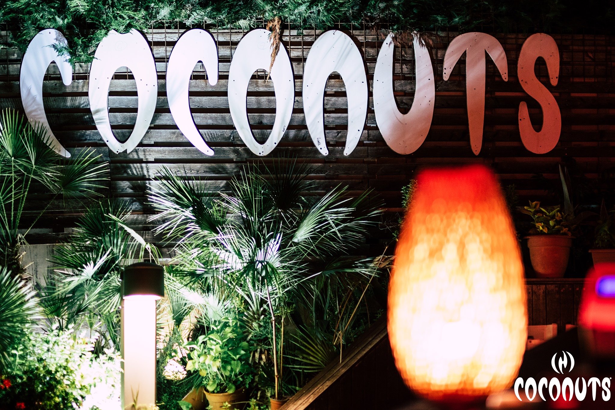 Il meraviglioso Sabato del Coconuts di Rimini