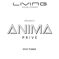 Anima Privè Opening Party alla Discoteca Living di Misano Adriatico