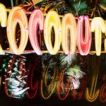 Cena e divertimento al Coconuts club di Rimini