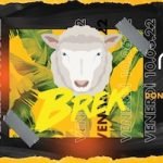 Brek Night al Neo club di Bologna co Numa