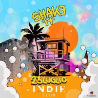 Shake It alle Indie di Cervia