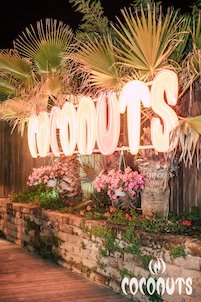 Discoteca Coconuts Rimini, cena e musica commerciale