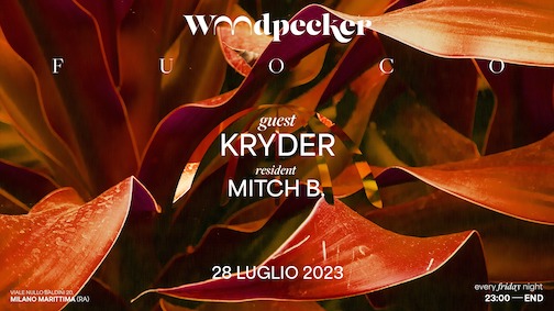 Kryder al Woodpecker di Milano Marittima